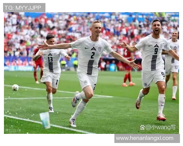 斯洛文尼亚足球历史十大球星盘点与他们的精彩成就分析